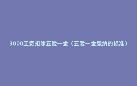 3000工资扣除五险一金（五险一金缴纳的标准）