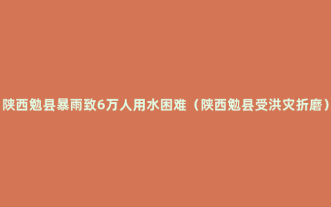 陕西勉县暴雨致6万人用水困难（陕西勉县受洪灾折磨）