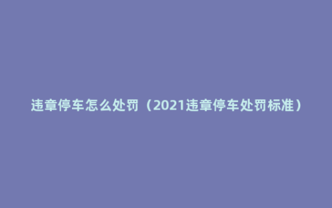 违章停车怎么处罚（2021违章停车处罚标准）