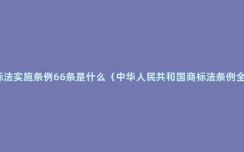 商标法实施条例66条是什么（中华人民共和国商标法条例全文）