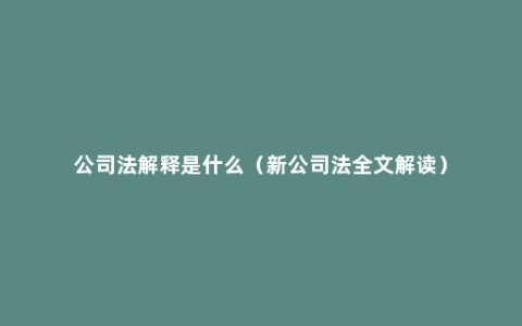 公司法解释是什么（新公司法全文解读）