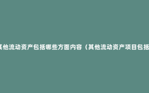 其他流动资产包括哪些方面内容（其他流动资产项目包括）