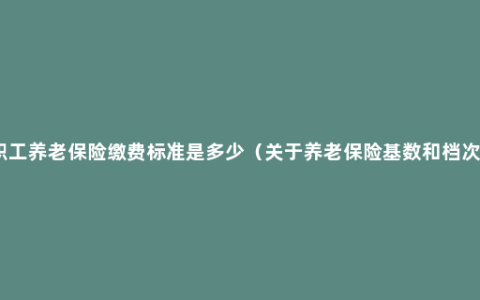 职工养老保险缴费标准是多少（关于养老保险基数和档次）