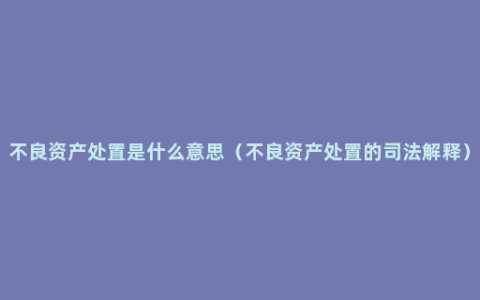 不良资产处置是什么意思（不良资产处置的司法解释）