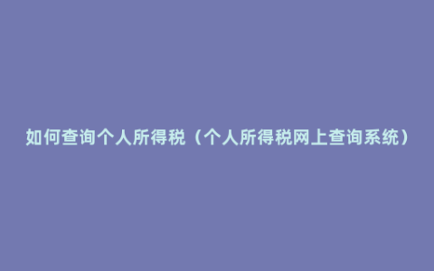 如何查询个人所得税（个人所得税网上查询系统）