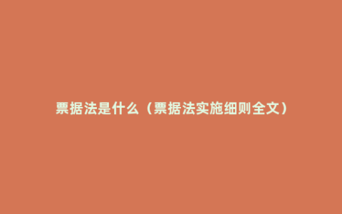 票据法是什么（票据法实施细则全文）