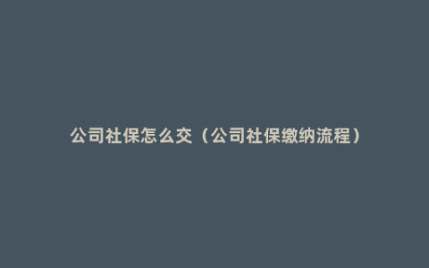 公司社保怎么交（公司社保缴纳流程）