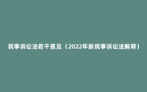 民事诉讼法若干意见（2022年新民事诉讼法解释）