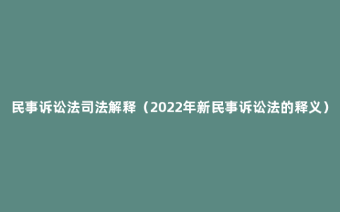 民事诉讼法司法解释（2022年新民事诉讼法的释义）