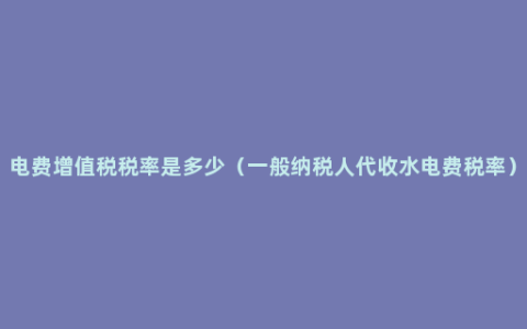 电费增值税税率是多少（一般纳税人代收水电费税率）