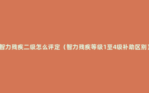 智力残疾二级怎么评定（智力残疾等级1至4级补助区别）