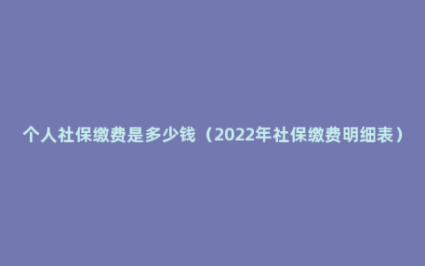 个人社保缴费是多少钱（2022年社保缴费明细表）