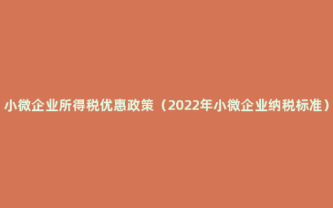 小微企业所得税优惠政策（2022年小微企业纳税标准）