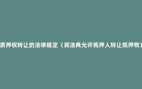 质押权转让的法律规定（民法典允许抵押人转让抵押物）