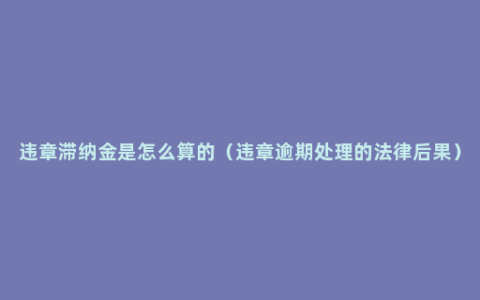 违章滞纳金是怎么算的（违章逾期处理的法律后果）