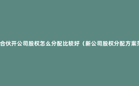 两人合伙开公司股权怎么分配比较好（新公司股权分配方案范本）