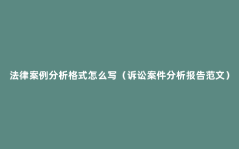 法律案例分析格式怎么写（诉讼案件分析报告范文）