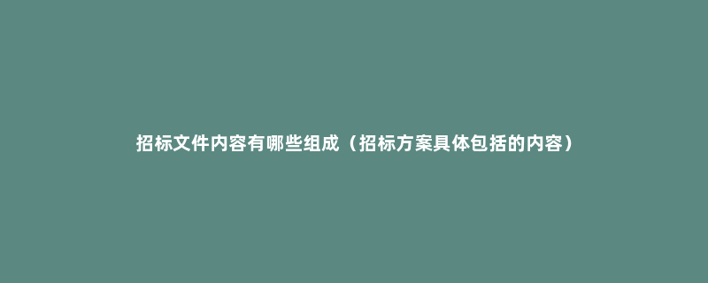 招标文件内容有哪些组成（招标方案具体包括的内容）