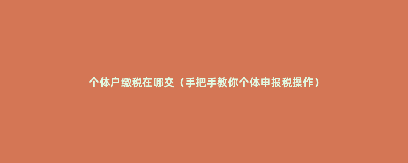 个体户缴税在哪交（手把手教你个体申报税操作）