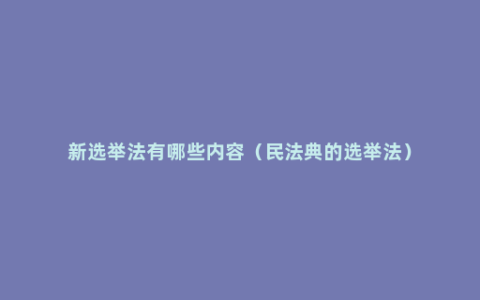 新选举法有哪些内容（民法典的选举法）