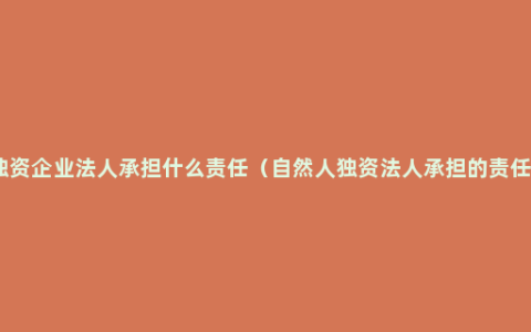 独资企业法人承担什么责任（自然人独资法人承担的责任）