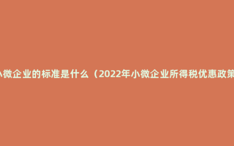 小微企业的标准是什么（2022年小微企业所得税优惠政策）