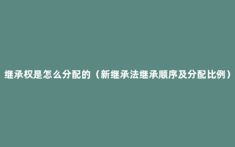 继承权是怎么分配的（新继承法继承顺序及分配比例）