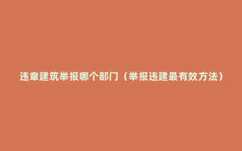 违章建筑举报哪个部门（举报违建最有效方法）