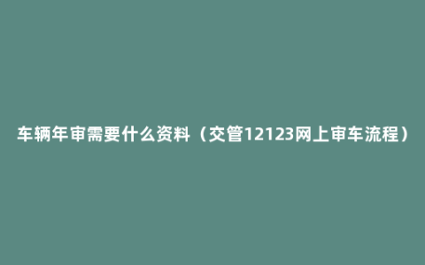 车辆年审需要什么资料（交管12123网上审车流程）