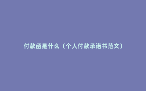 付款函是什么（个人付款承诺书范文）