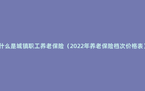 什么是城镇职工养老保险（2022年养老保险档次价格表）