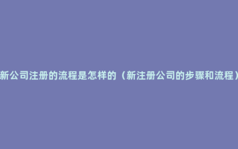 新公司注册的流程是怎样的（新注册公司的步骤和流程）