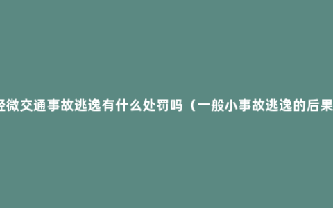 轻微交通事故逃逸有什么处罚吗（一般小事故逃逸的后果）