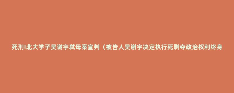 死刑!北大学子吴谢宇弑母案宣判（被告人吴谢宇决定执行死剥夺政治权利终身）