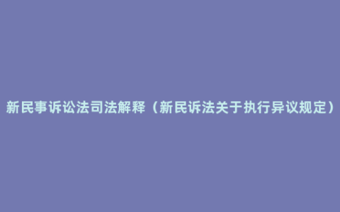 新民事诉讼法司法解释（新民诉法关于执行异议规定）