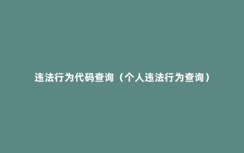 违法行为代码查询（个人违法行为查询）