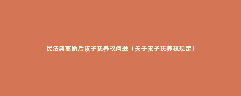 民法典离婚后孩子抚养权问题（关于孩子抚养权规定）