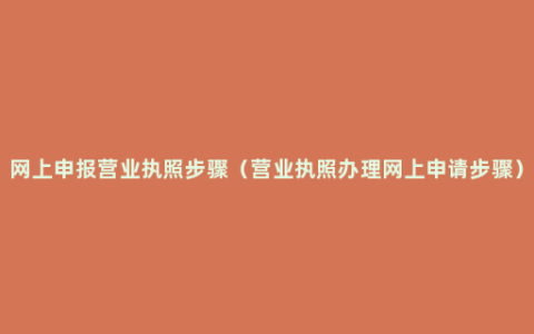 网上申报营业执照步骤（营业执照办理网上申请步骤）