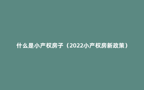 什么是小产权房子（2022小产权房新政策）