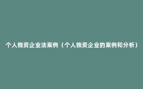 个人独资企业法案例（个人独资企业的案例和分析）