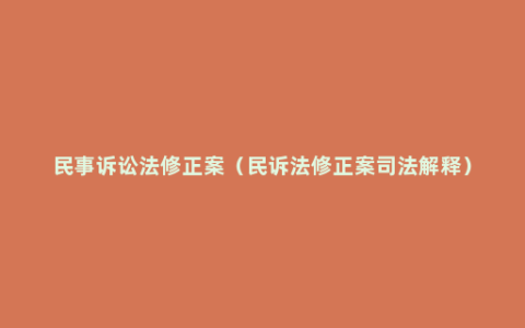 民事诉讼法修正案（民诉法修正案司法解释）