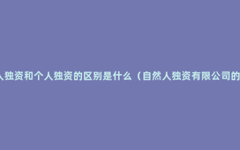 自然人独资和个人独资的区别是什么（自然人独资有限公司的利弊）