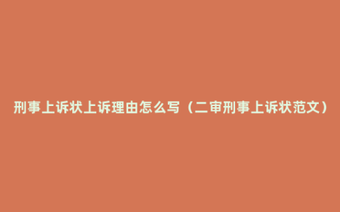 刑事上诉状上诉理由怎么写（二审刑事上诉状范文）