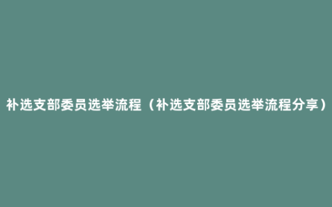 补选支部委员选举流程（补选支部委员选举流程分享）