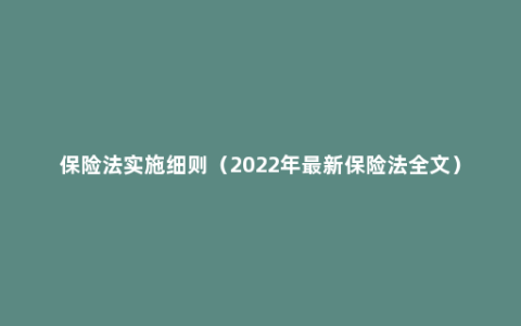 保险法实施细则（2022年最新保险法全文）