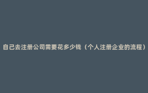 自己去注册公司需要花多少钱（个人注册企业的流程）