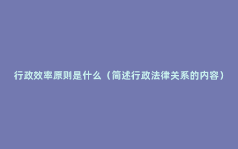 行政效率原则是什么（简述行政法律关系的内容）