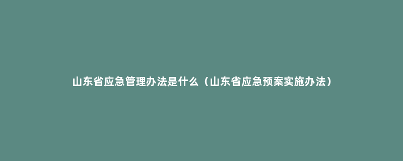 山东省应急管理办法是什么（山东省应急预案实施办法）