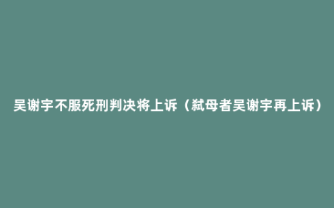 吴谢宇不服死刑判决将上诉（弑母者吴谢宇再上诉）