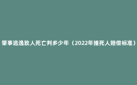 肇事逃逸致人死亡判多少年（2022年撞死人赔偿标准）